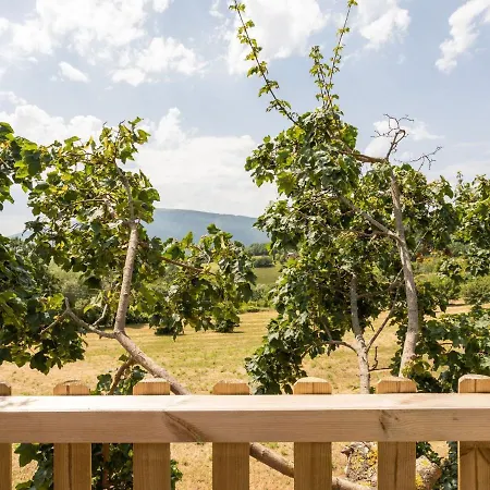 펜션 In With Pool & Nature *